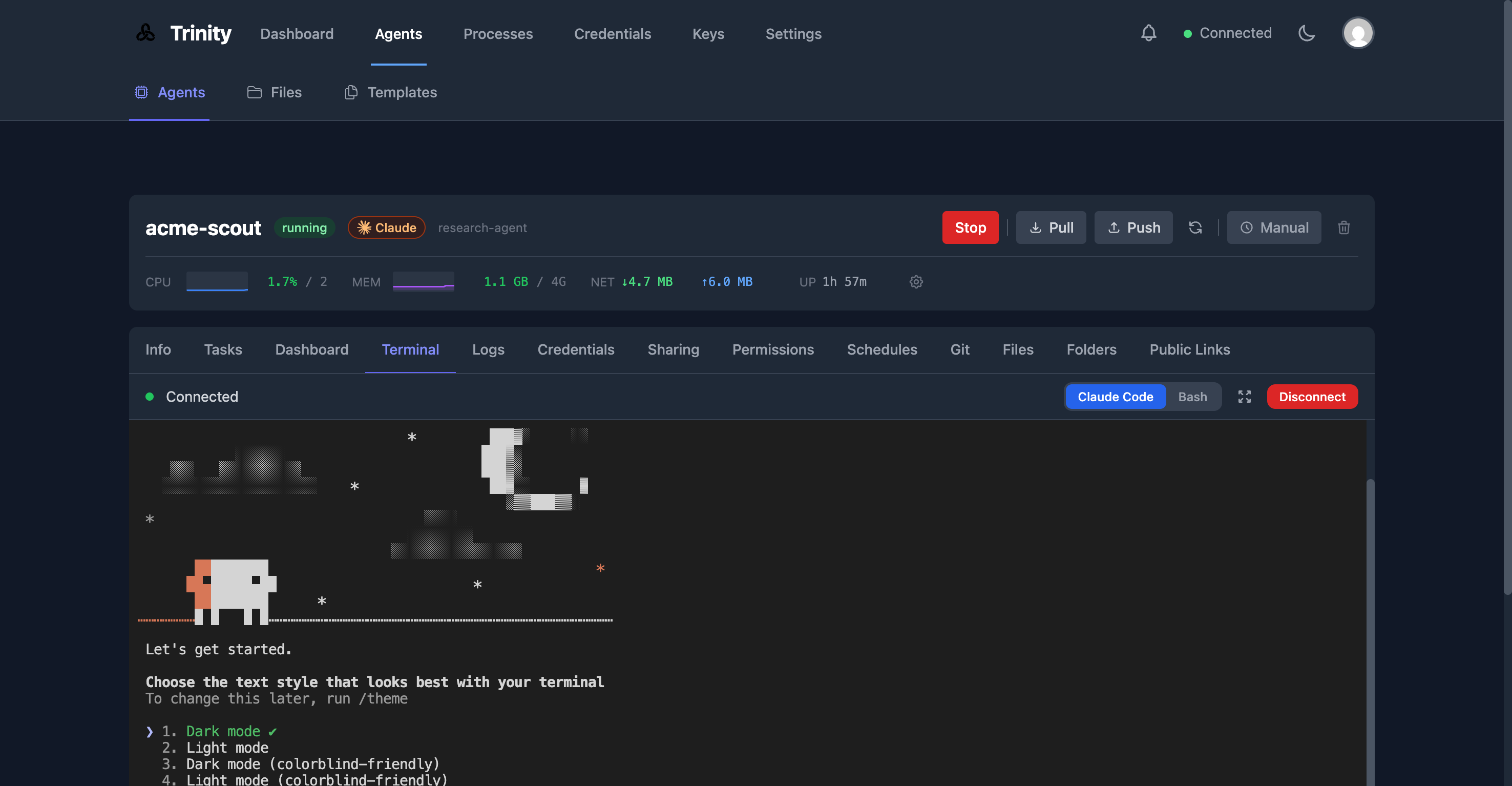 ライブターミナル — エフェメラル SSH によるコンテナ直接アクセス